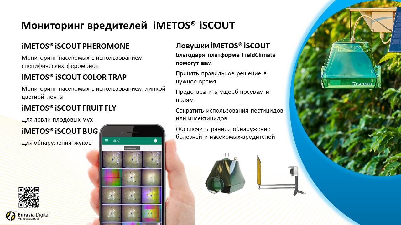 Слайд6